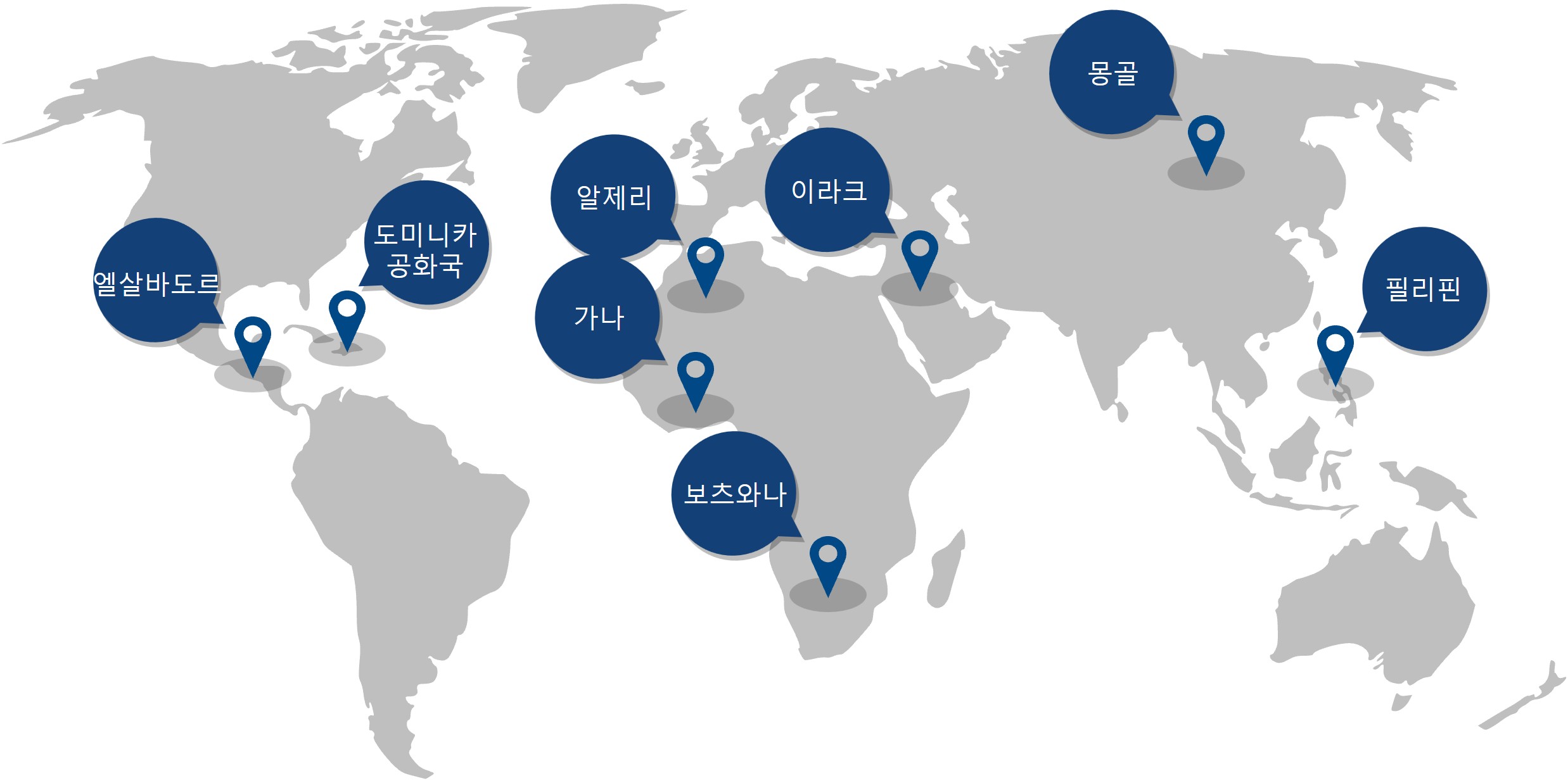 해외 사업
